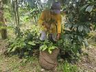 Puma-Wasi member, Angel, with the trees he is about to plant at his restored farm