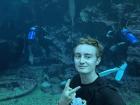 Me with divers at the aquarium!