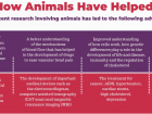 Here are some amazing ways animals have benefitted science (McGill University)