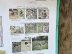 Poster highlighting the animal species in the reserve