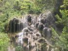 We have to work together to save the environment and its beautiful features