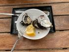 My first time trying oysters at Freycinet Marine Farm