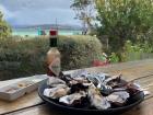 Bruny Island oysters and dipping sauce overlooking the oyster farm