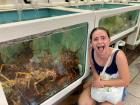 I was shocked by the size of the rock lobsters at the Sydney Fish Market!