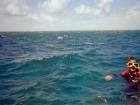 Ocean snorkel site with the reef below