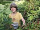 Cam picking fresh blackberries