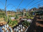 The "Triplespan", the ecovillage's community garden