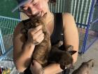 My friend and some of the puppies currently living at the Laws for Paws shelter