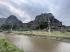 There is another common Vietnamese animal in this picture, do you recognize it?