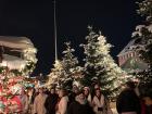 The Kiel Weihnachtsmarkt looking very seasonal!