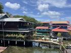 This is the view from the Airbnb we stayed in in Bocas del Toro. The houses are over the water and many people have plants!