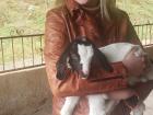 Me hugging a baby goat!