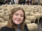 Not only do people use Madrid's streets, sometimes sheep do too! This is during a traditional festival where sheep and goats cross through the streets of Madrid. It's called Fiesta de la Trashumancia.