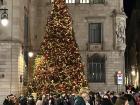 The main Christmas tree in Barcelona