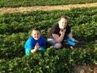 Picking local strawberries in RI with my little brother when we were younger 