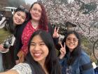 A picture from when my friends and I visited Chiayi to see the cherry blossoms in Alishan