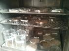Wetland soil drying in a lab for my microplastic study