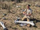 Collecting elephant bonemeal during my current role as a PhD student in South Africa