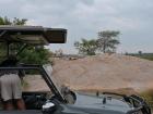 Safari vehicles parked in front of a pride of lions napping on a rocky outcrop