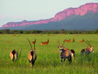 Keeping the wild "wild" is the first step in saving an eco-system