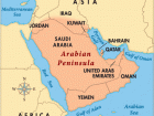 The Arabian Peninsula is often an illegal trading area for wild cheetahs