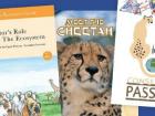 CCF helps to produce lots of resources for teachers and students to learn about cheetah conservation