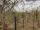 That's me setting up for data collection at a bone site
