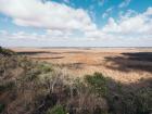 The beautiful savannah landscape (photograph by Tom Buoyer)