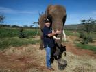 I did surgery on this elephant cow's face in Kenya