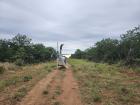 Helicopter that landed in the bush, between mopane trees