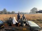 Scanning the golden grasslands of Madhya Pradesh from the jeep, waiting patiently for the jungle to reveal its secrets