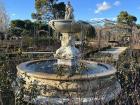 Although there are no roses here in the winter, this is my favorite fountain in the rose garden at Retiro park
