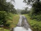 A road in my community after a rainy day