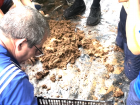 During the workshop, we made mud balls which help purify the river (one ball purifies ~1000 liters of water!)