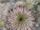 This huge cacti was one of my favorites.