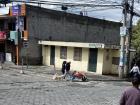 The wheelbarrow dogs on a ride through Lumbisí.