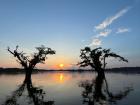 On a boat on tributaries of  the Amazon River