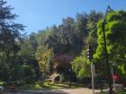 One thing I loved about Santa Lucía Hill was all of the greenery like as seen here