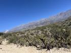 Las hermosas sierras de Mendoza (The beautiful mountains of Mendoza)