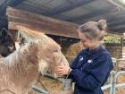 Federica at the Animal Hospital taking care of a mule!