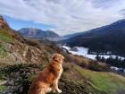 The view of the valley from Castello di Fiemme!