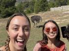 Me and my friend Hannah... with an ostrich! 