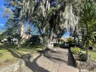 The central park in Iza is filled with these beautiful mossy trees