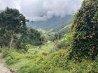 This picture I took during my hike in Valle de Cocora doesn't do the beauty justice!