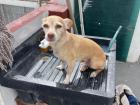 Butler getting his bath!