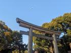 One of the torii gates that leads into the Meiji Jingu Shrine located in Harajuku, Tokyo!