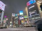 Shibuya Crossing during a snow storm, which is very rare in Shibuya!