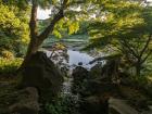 The East Gardens of the Imperial Palace, taken by Yuyu