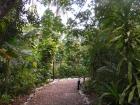 A beautiful walkway in the forest of the Belize Zoo