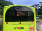 It is easy to get on the wrong bus in Singapore